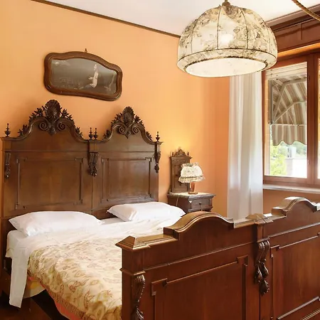 Glicine Cisterna dʼAsti